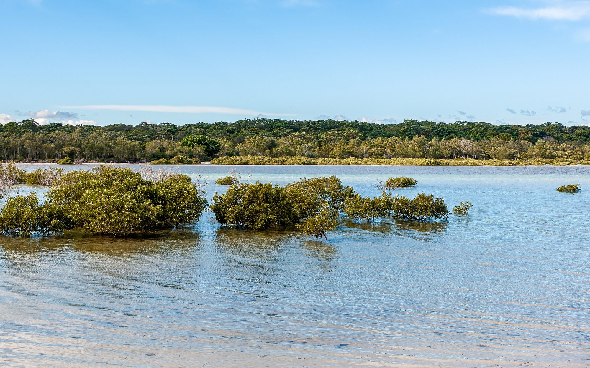 High-Risk Flood Zone